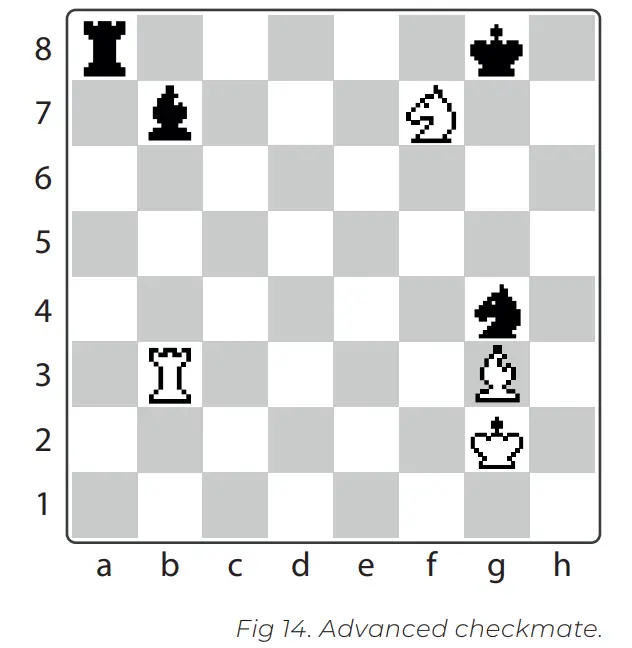 DGT Rules of Chess - Advanced