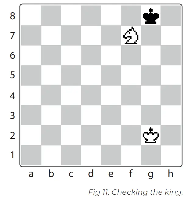 DGT Rules of Chess - Checking