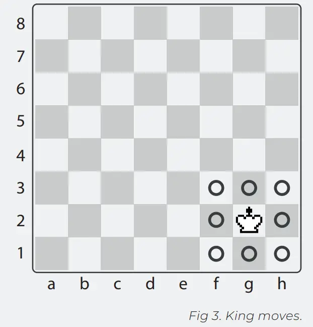 DGT Rules of Chess - King