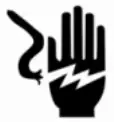 Electric shock Icon