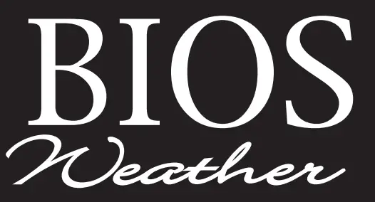 BIOS Logo