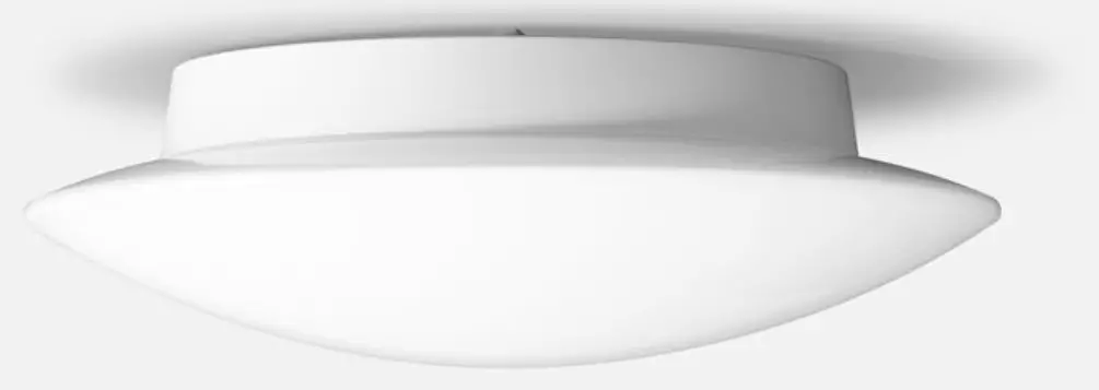 BEGA 51233 Ceiling and Wall Luminaire