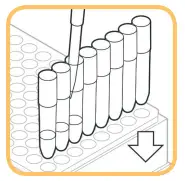 EXTRACTION PROCEDURE A.1: STANDARD