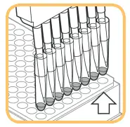EXTRACTION PROCEDURE A.1: STANDARD