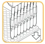 EXTRACTION PROCEDURE A.1: STANDARD