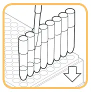 EXTRACTION PROCEDURE A.2: VIAFLO96