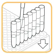 EXTRACTION PROCEDURE B: RAPID