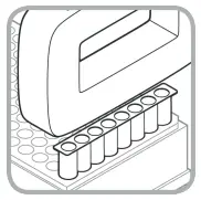 EXTRACTION PROCEDURE B: RAPID