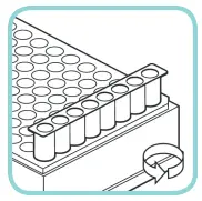 EXTRACTION PROCEDURE B: RAPID