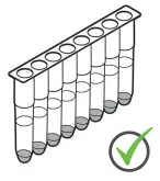 EXTRACTION PROCEDURE B: RAPID