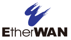 EtherWAN - logo