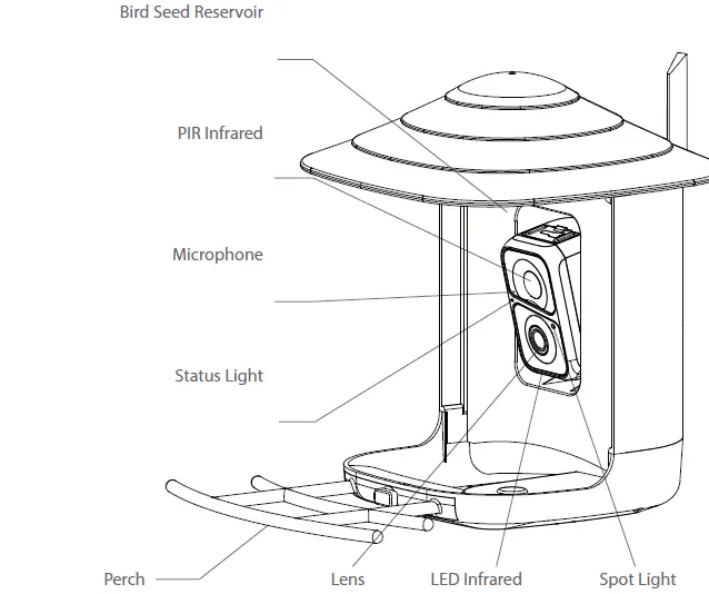 BOKAWENLUO-V5DZWNQ-AI-Bird-Feeder-with-Camera-07