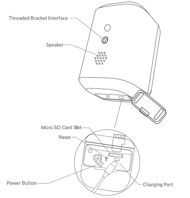 BOKAWENLUO-V5DZWNQ-AI-Bird-Feeder-with-Camera-09