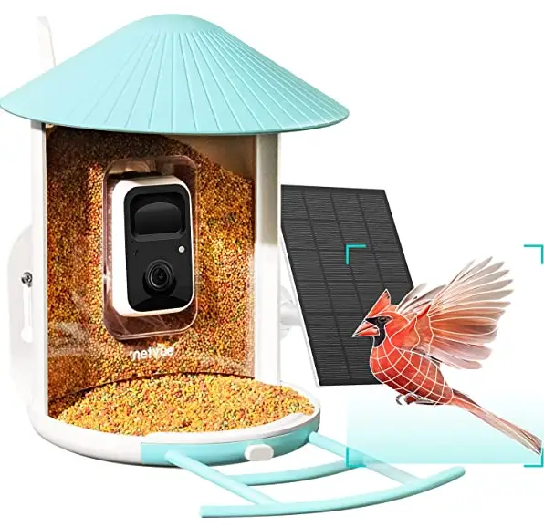 BOKAWENLUO-V5DZWNQ-AI-Bird-Feeder-with-Camera-product-image