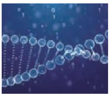 UV-C: A proven technology for sterilization and purification