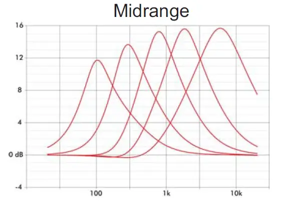 EBS-Reidmar-Professional-Bass-Head-7