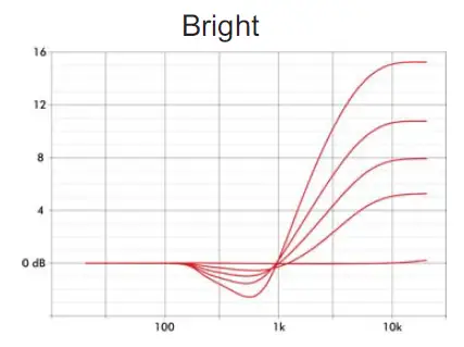 EBS-Reidmar-Professional-Bass-Head-9