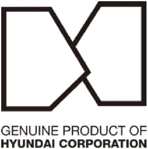 HYUNDAI VK309 Stainless Steel Electric Kettle with Regulation - ICON 1
