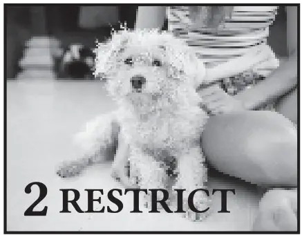 GIANI Granite Small Project Kit - POUR & ROLL EPOXY TOPCOAT 3