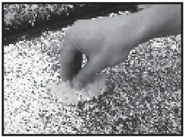 GIANI Granite Small Project Kit - SPONGE ON MINERALS 3