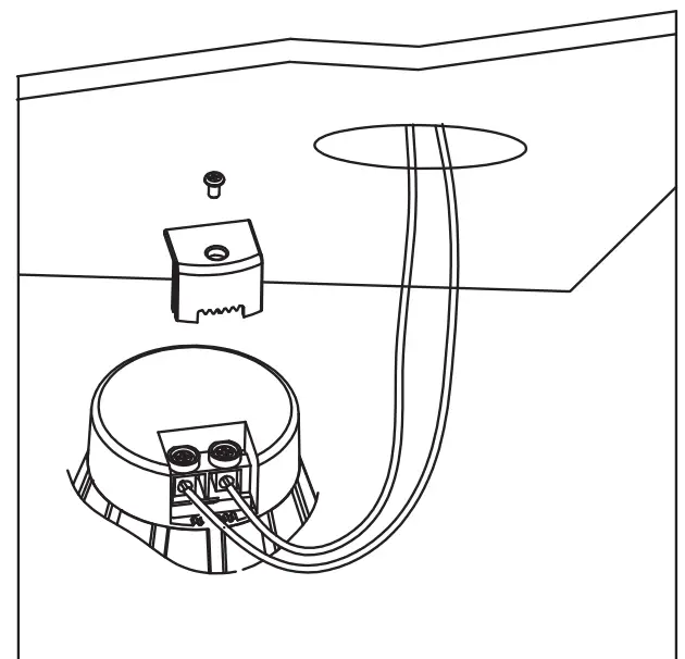 Downlight with internal driver