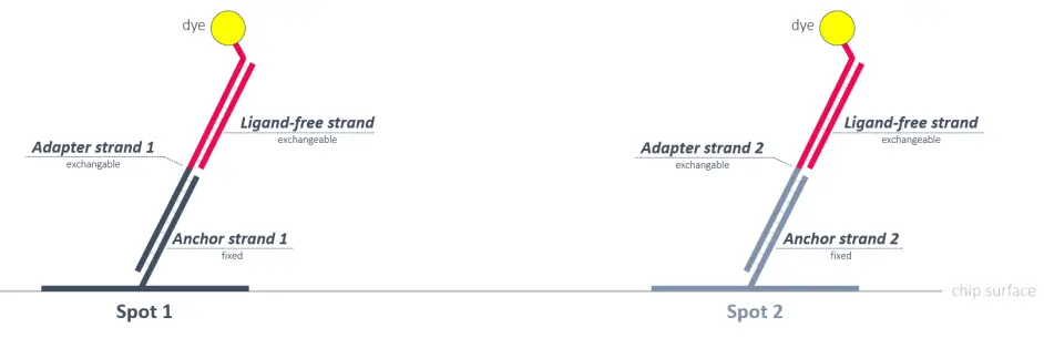 dynamic-BIOSENSORS-TS-0-HeliX-Test-and-Standby-Solution-FIG-1