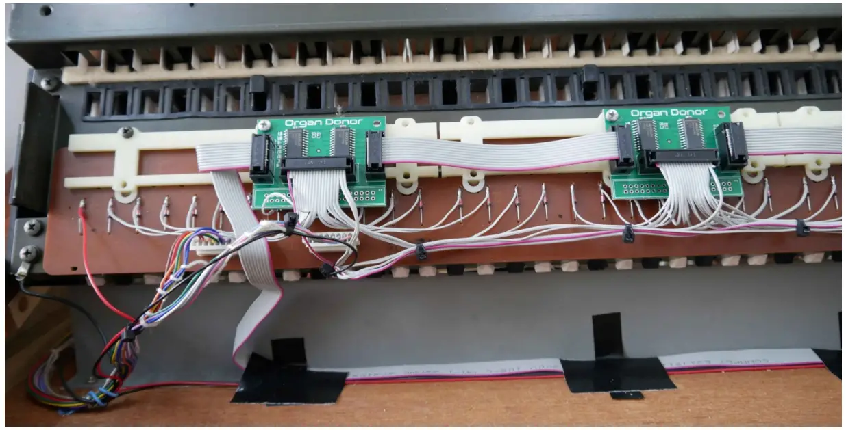 Tubbutec OrganDonor Yamaha SK-10 - fig 6