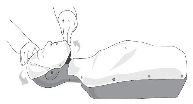 WNL-PRODUCTS-AED-Trainer-Pads-FIG-3