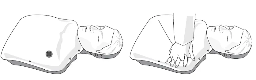 WNL-PRODUCTS-AED-Trainer-Pads-FIG-6