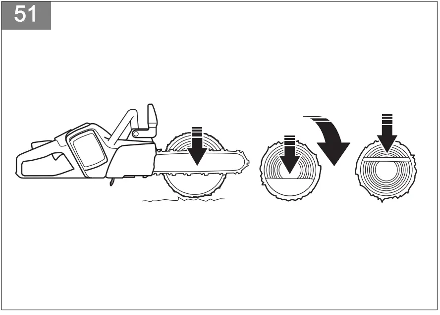 a trunk on the ground