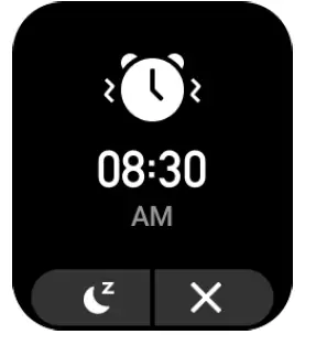 Alarm
