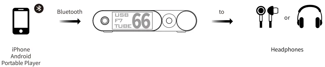 aune Flamingo Tube DAC Headphone Amplifier - Figure