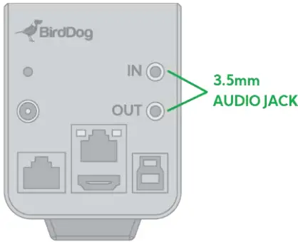 BirdDog PF120 Full NDI Box Camera - Audio IN OUT