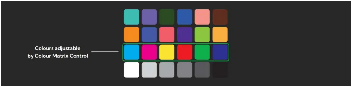 BirdDog PF120 Full NDI Box Camera - Colour Matrix controls