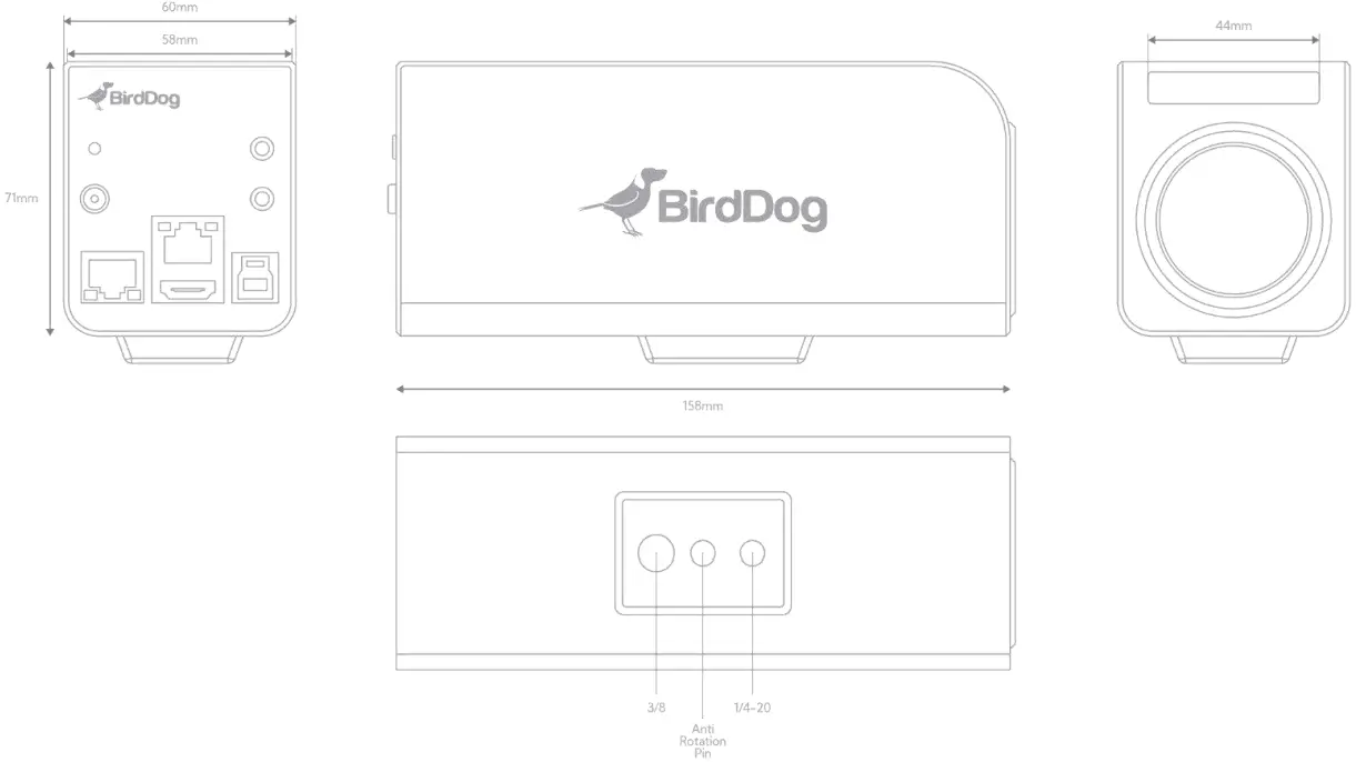 BirdDog PF120 Full NDI Box Camera - Dimensions