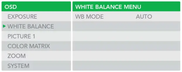 BirdDog PF120 Full NDI Box Camera - Table 5
