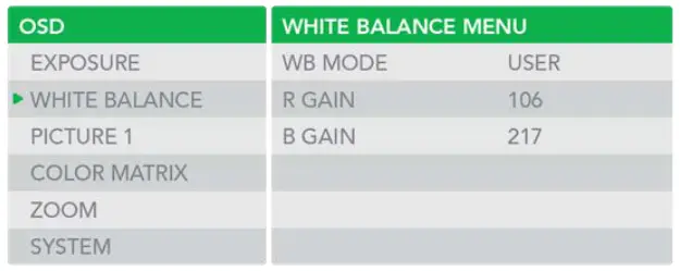 BirdDog PF120 Full NDI Box Camera - Table 6