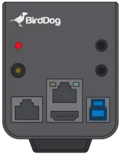 BirdDog PF120 Full NDI Box Camera - connector on the rear