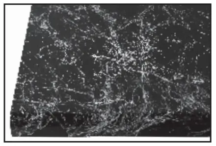 GIANI Belgotta Black Marble Countertop Paint Kit for Covers 35 Square Feet - dense veins