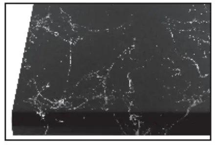 GIANI Belgotta Black Marble Countertop Paint Kit for Covers 35 Square Feet - thin veins