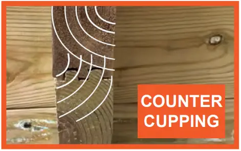 PLANTERS Veg Trough Planter Box - COUNTER CUPPING