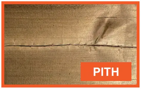 PLANTERS Veg Trough Planter Box - Pith