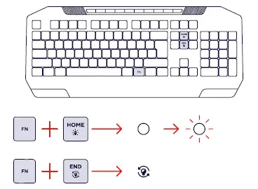 Trust-EVOCX-GXT-836-Illuminted-Gaming-Keyboard-FIG- (2)