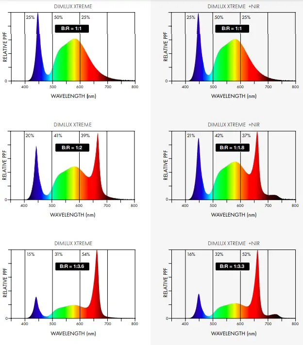 DIMLUX-500W-LED-Xtreme-Series-LED-fig-15