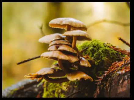 OM-SYSTEM-OM-5-In-Depth-Camera-FIG-23