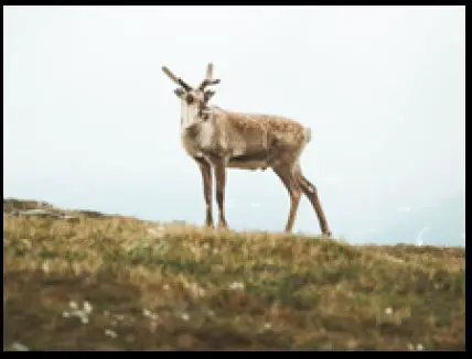 OM-SYSTEM-OM-5-In-Depth-Camera-FIG-24