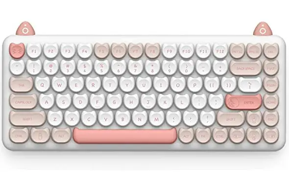 Iqunix M80 Purry Cat Wireless Mechanical Keyboard User Guide Iqunix M80 Purry Cat Wireless Mechanical Keyboard User Guide