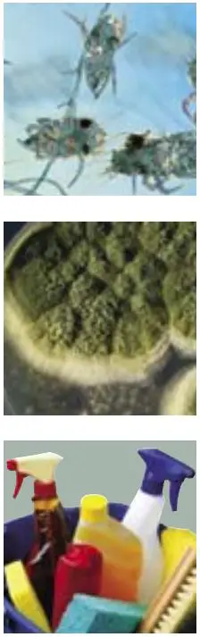 Lenoxx Pureair Manual Purification System-fig1