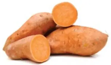 DASH DNMWM400 No Drip Waffle Maker - SWEET POTATO