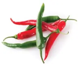 DASH DNMWM400 No Drip Waffle Maker - quesadilla